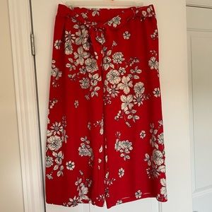 2/$20🛍️ Ashley Blue • Capri pull on pant • Sz XL